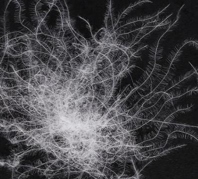 x7x7x7x7x7任你燥水蜜桃